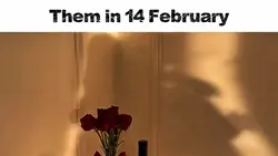 Them in 14 february
