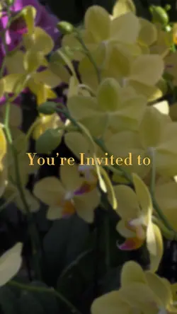 Easter Invite 🐰