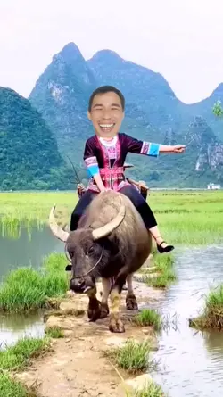 Cưỡi trâu