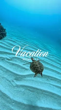 VACATION MOMENTS