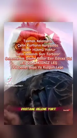 Gelin sarı Torbalar!