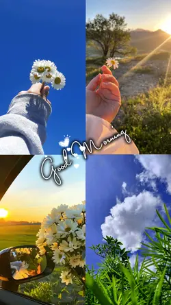 Good morning 