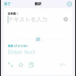 翻訳アプリか翻訳機能使ってね！