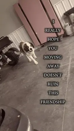 I hope it doesn't 