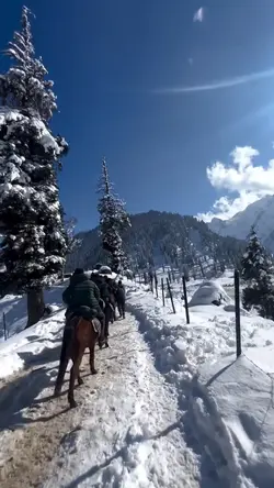 Travel with friends 