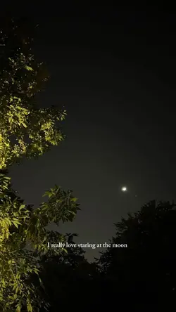 staring at the moon