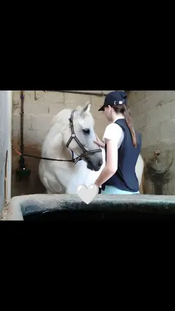 Cheval 