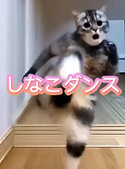 しなこダンス💃写真1枚