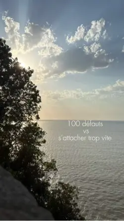 100 défauts 