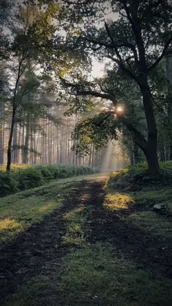 Nature vibes