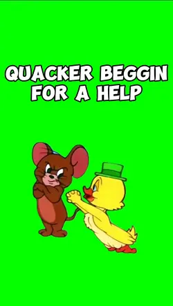 QUACKER BEGGIN