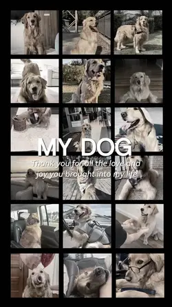 Goodbye my Dog