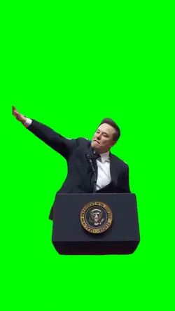 ELON SALUTE