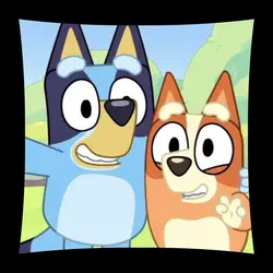 Bluey and Bingo