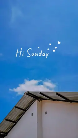 Hi Sunday