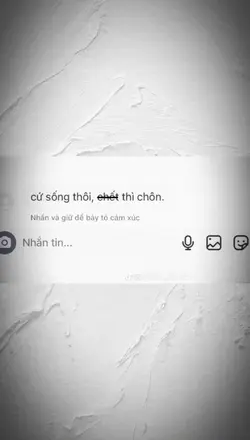 Mẫu 1 ảnh