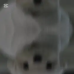 多分最後のテンプレ