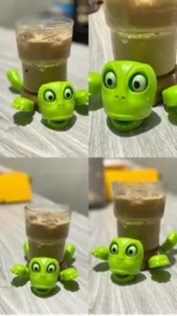 Turtle