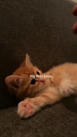 my first love