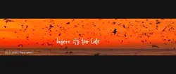 Utra Wide 5120x1080
