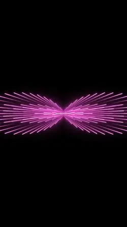 3D Video 