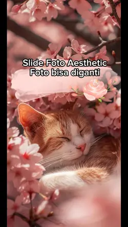 Slide Foto Box Dadu