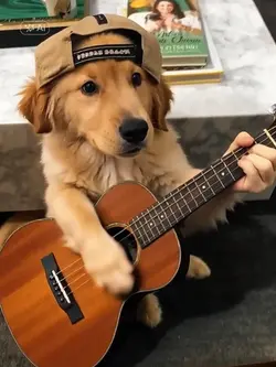 The Secret talent 
