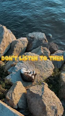 DON'T LISTEN TO THEM