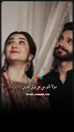 سندھی اسٹیٹس