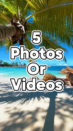 Mini Vlog