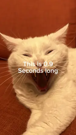 0.9 seconds long