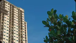 halaman pertama 