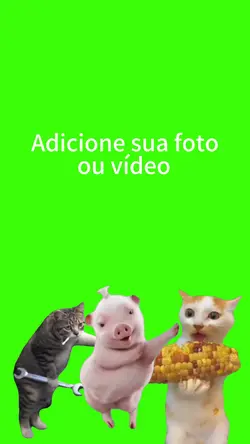 Animais fofinhos.