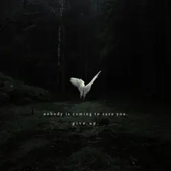 grow wings !