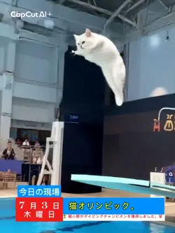 ai飛び込み選手の猫