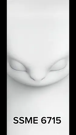 新增 4 個片段