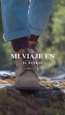 Viaje en el bosque