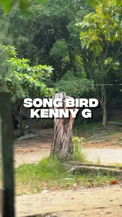 Song Bird KENNY G