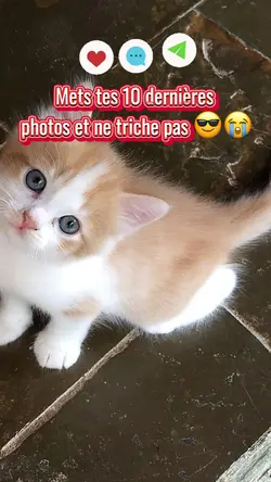 Tes 10 photos 😻