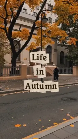 Life in Autumn 