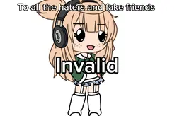 opinion is invalid
