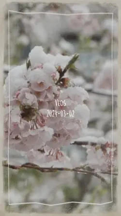 Vlogなどに !