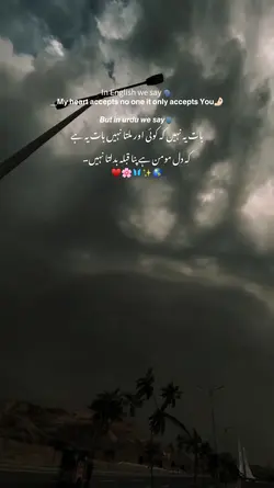 This Line's 