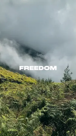 FREEDOM DUMP