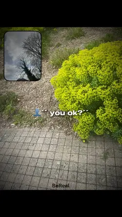 You ok ?