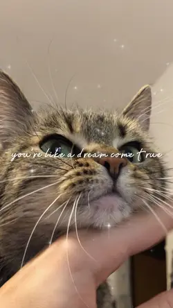 Pov: working at home
