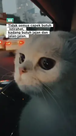 jajan dan jalan