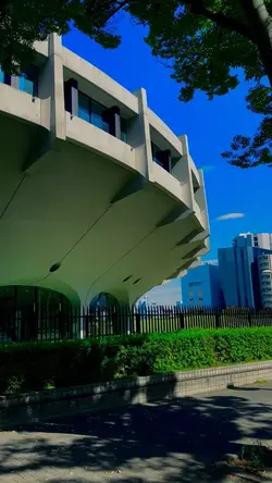 代々木公園けやき並木BGM ♬有ります