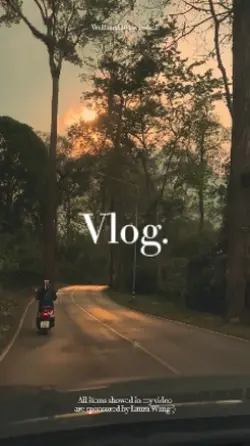 vlog                