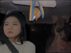 kanguru masuk mobil